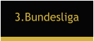 3.Bundesliga