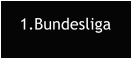 1.Bundesliga