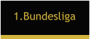 1.Bundesliga
